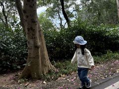 -火炉山森林公园