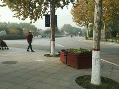 -石家庄市植物园