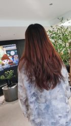 -付军剪艺JF ProSalon