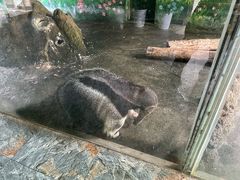 -淹城春秋乐园