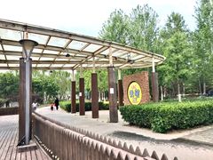-大兴滨河森林公园