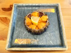 -海胆小馆(东北水饺·春柳店)