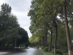 -浙江农林大学(东湖校区)
