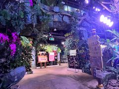 -正佳雨林生态植物园