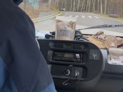 -五营红松林海景区