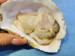 -千岛蚝高压锅生蚝·人参火锅(白云万达店)