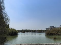 -泗洪洪泽湖湿地景区
