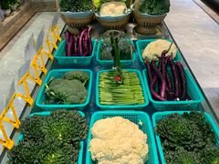 -海派美食·家宴海鲜青岛菜·石锅鲽鱼头(东方城店)
