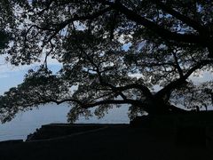 -抚仙湖禄充风景区