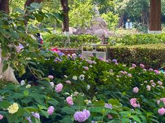 -常州古运河南大街文化旅游区-人民公园