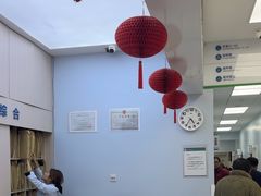 -中国农业大学动物医院