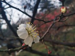 -山东大学(趵突泉校区)