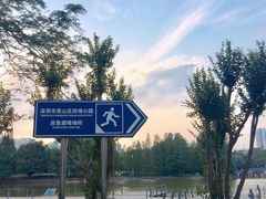 -四海公园(南山区)