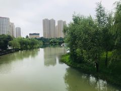 -洋湖国家湿地公园