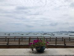 -悦港(悦港酒店)