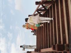 -荷塘月色湿地公园·向阳花洲
