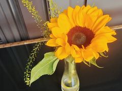 -高佳庄·海鲜酒楼(定海店)