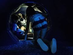 -瑞普利水族馆