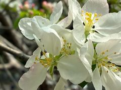 -衡山北郊宾馆-餐厅(顾村公园店)