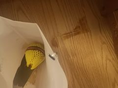 石榴-柯剑飞超级水果批发中心(东港店)