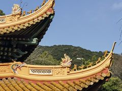 -普陀山风景名胜区-法雨禅寺