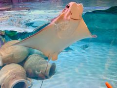 -沈阳海洋探索中心