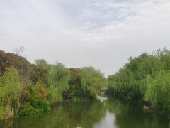 -同里国家湿地公园