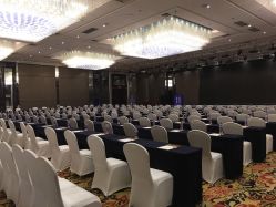 -成都大鼎世纪大酒店·宴会厅