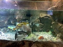 -多彩贵州城极地海洋世界