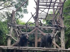 -长鹿旅游休博园