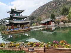-黑龙潭公园