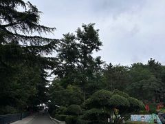 -北岭山森林公园