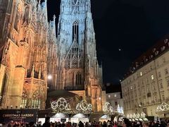-斯蒂芬主教座堂(Stephansdom)