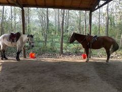 android_upload_pic-溱湖国家湿地公园