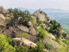 -六里坪国家森林公园