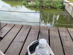 -大望京公园