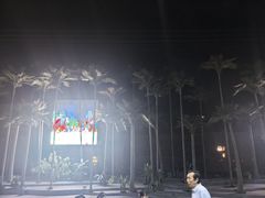 -三亚红色娘子军演艺公园景区