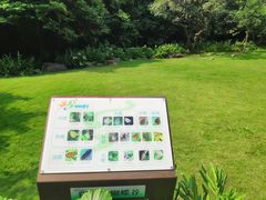 -阳台山森林公园
