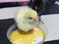 -北京华联购物中心(天通苑店)