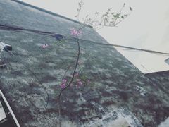 -三溪村