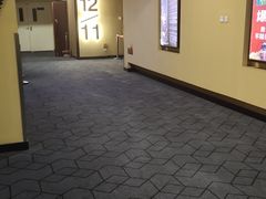 -华谊兄弟影院(IMAX洋桥店)