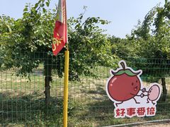 -兴芮温泉度假区