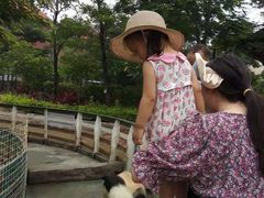-灵玲国际马戏城