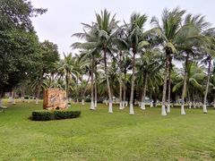 -万绿园