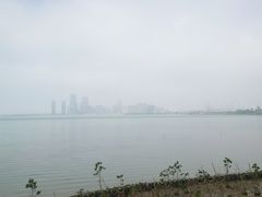 -万绿园