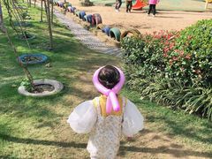 -合肥滨湖国家森林公园