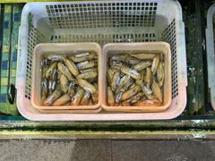 -202特色排档(五缘湾店)