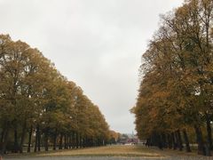 -维格兰雕塑公园