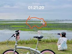 -DAHON大行折叠自行车(松江旗舰店)