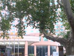 -南京维景国际大酒店(南京博物院店)